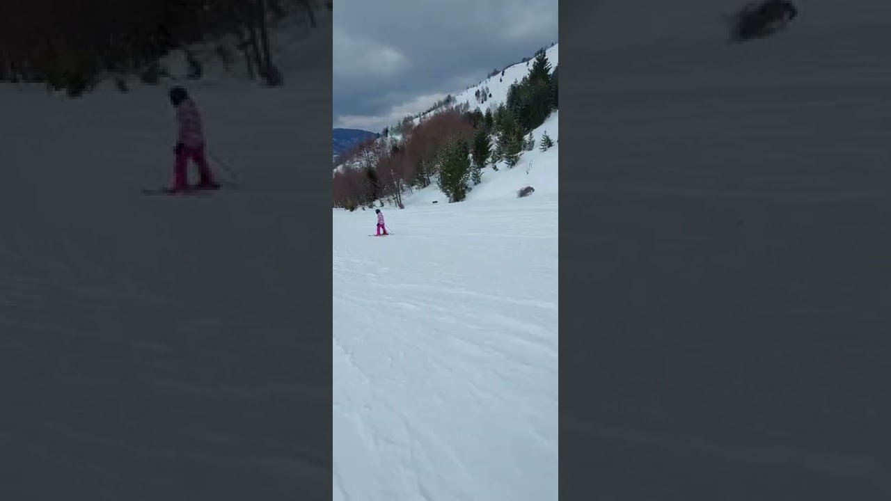 Nizo Pole 2022
