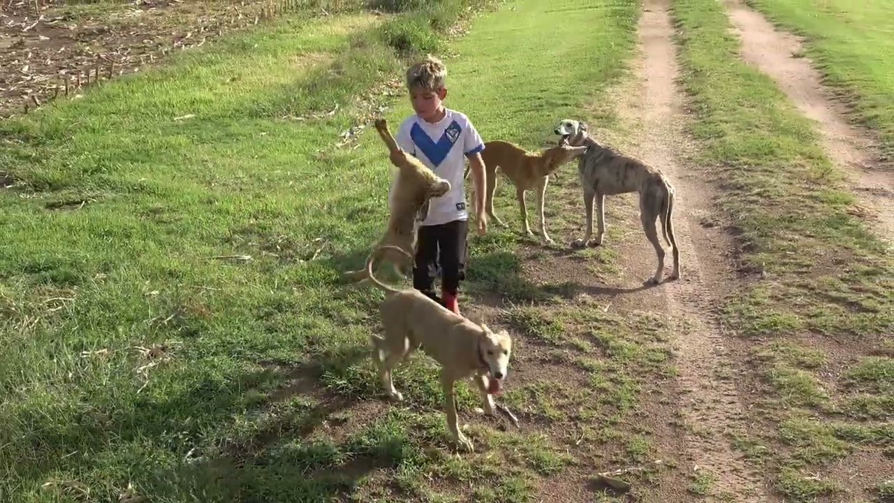 🐼🐇🐥🐒🐶 LAS ULTIMAS SALIDAS CON EL BENI.. PREPARANDO LOS NUEVOS PARA LA TEMPORADA 