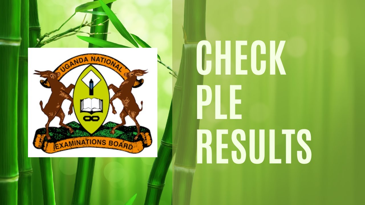 How to Check PLE UNEB Results on any Phone