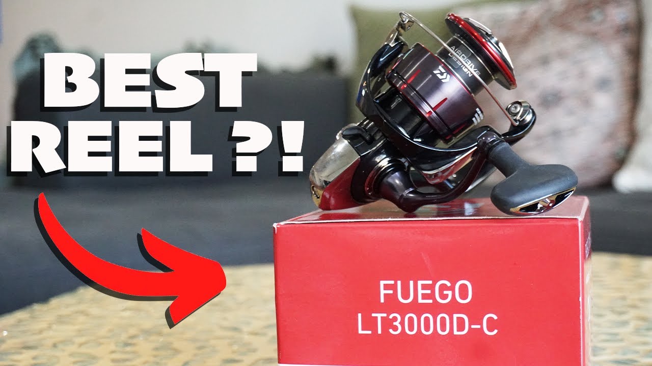 Daiwa Fuego LT 3000 Review | Best Cheap Spinning Reel