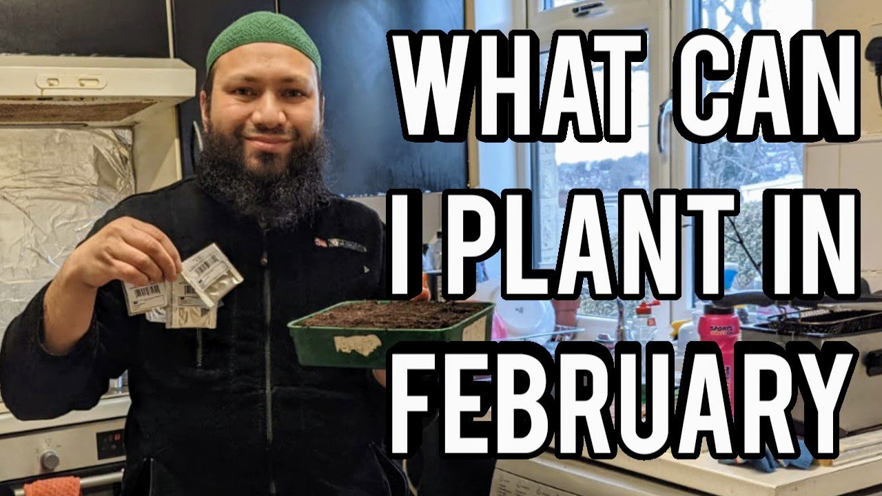 What To Grow In February - What To Plant In February
