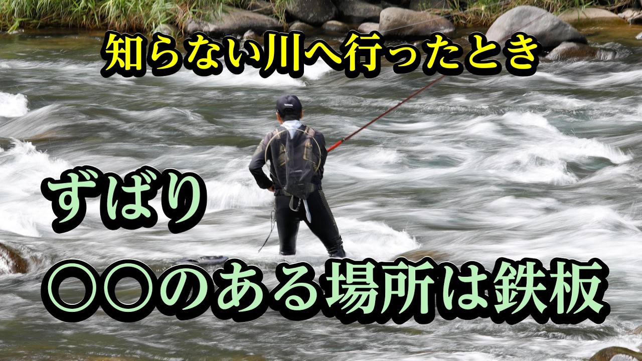 鮎釣りの豆知識　あなたはいくつ知っていますか？