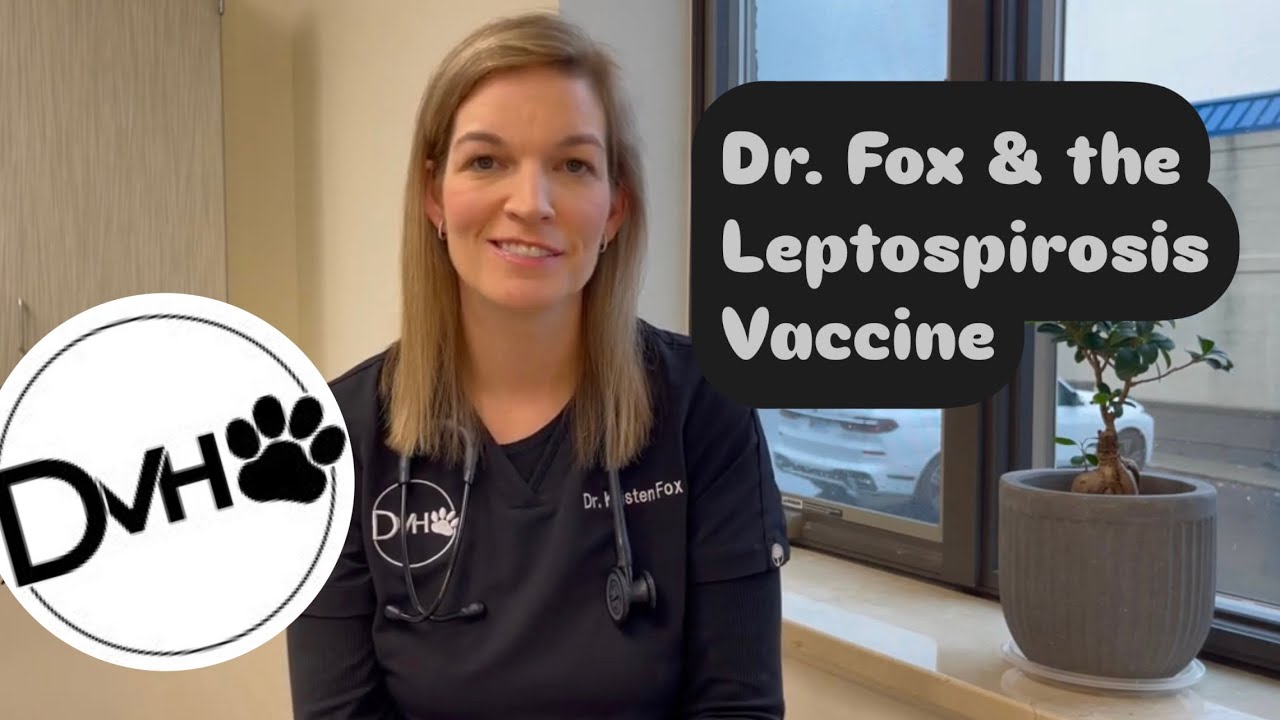 Dr. Fox Discusses the Leptospirosis Vaccine