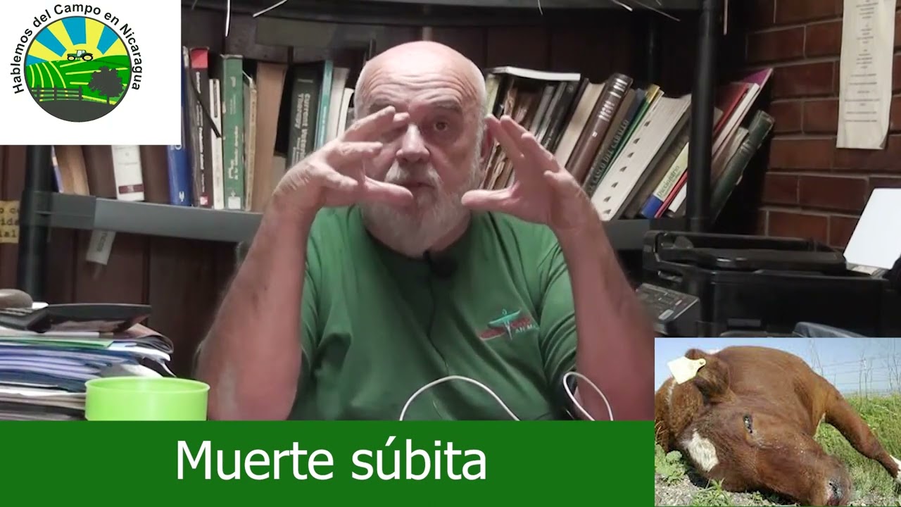 CLOSTRIDIOSIS COMO Y PORQUE ELEGIR LA VACUNA