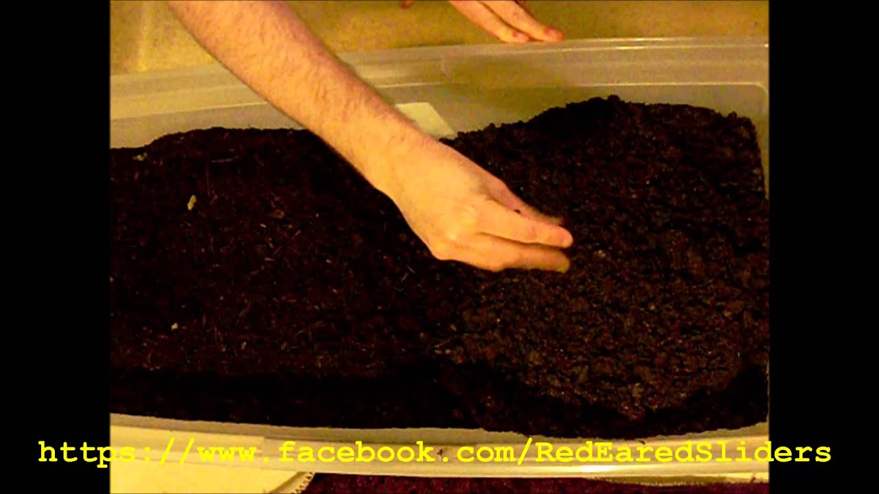 How to Build a Nesting Box for your Female Red-Eared Slider.