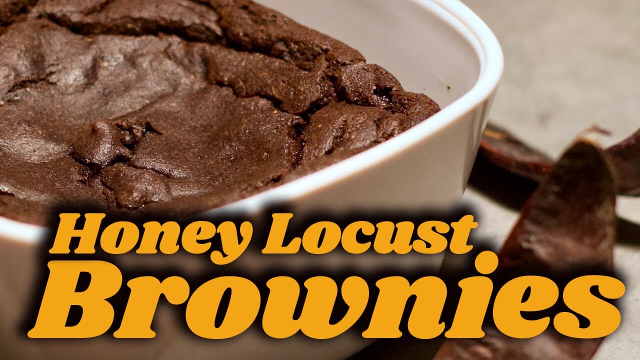 Foraging Honey Locust Pods to Make Brownies (Part 2): From Flour to Fork