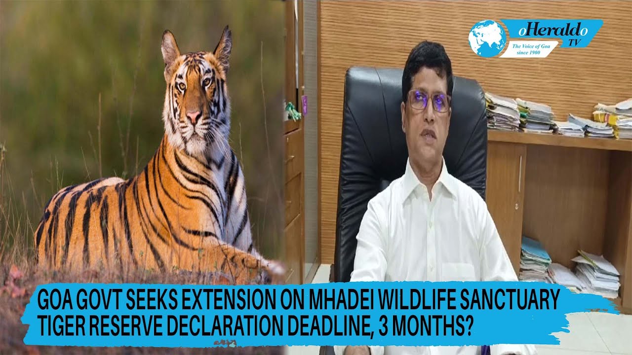 Goa Govt Seeks Extension on Mhadei Wildlife Sanctuary Tiger Reserve Declaration Deadline, 3 months?