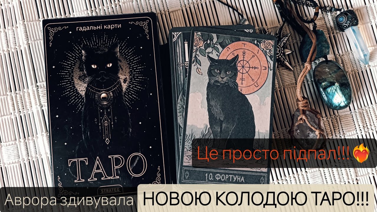 🐈‍⬛Містичні коти від мультимаркету АВРОРА!!! Огляд нової колоди Таро #аврора #таро #україна