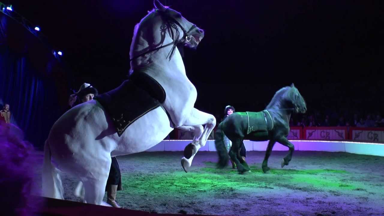 NÁRODNÍ CIRKUS Originál Berousek