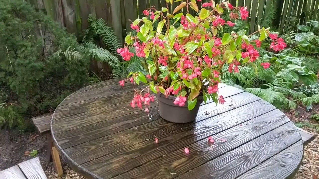 Marietta PA Garden Tour 2018
