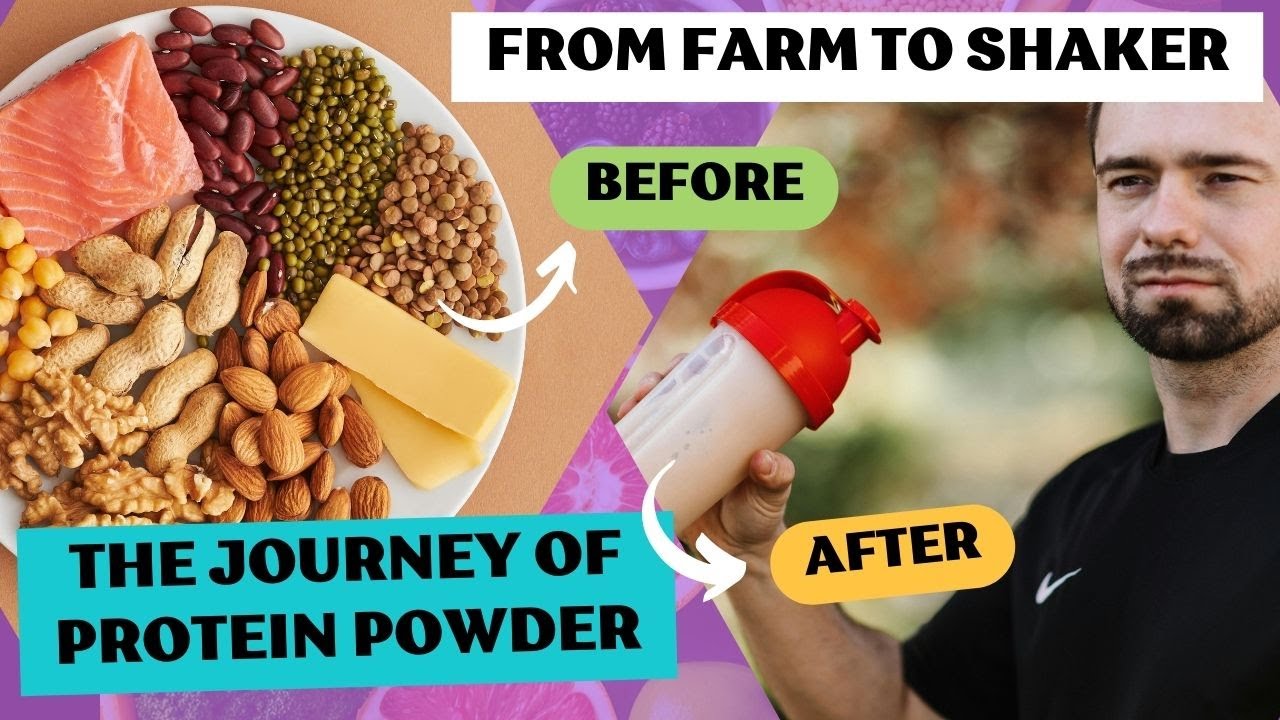 From Farm to Shaker: The Journey of Protein Powder