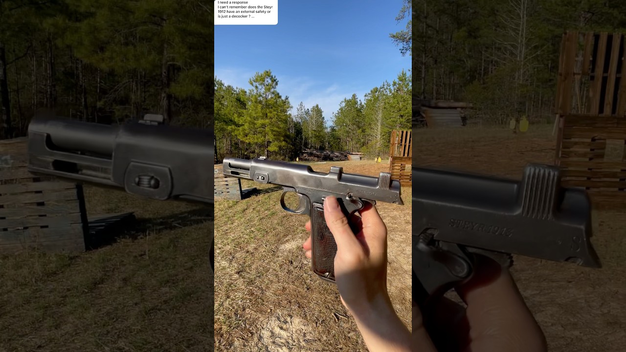 🇦🇹How it Works: Steyr M1912 Functions Explained #milsurp #steyr #bf1