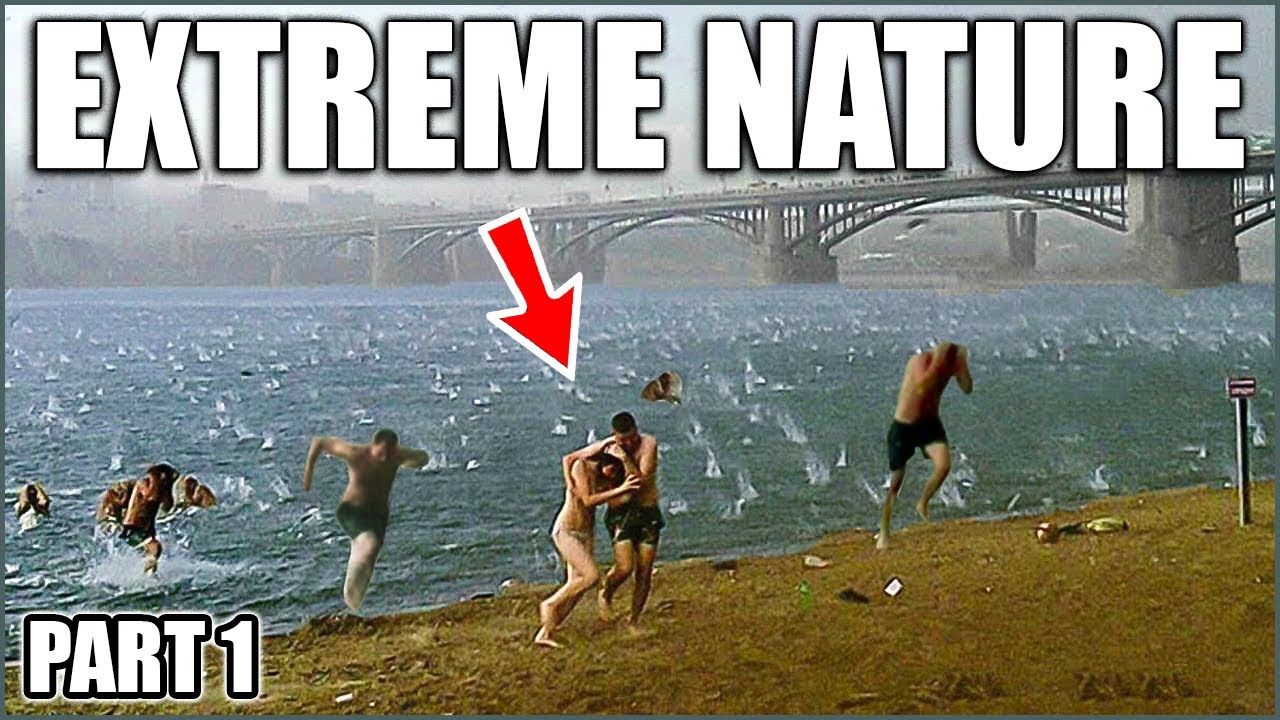 கேமராவில் பதிவான நம்பமுடியாத இயற்கை நிகழ்வுகள் | Natural Phenomenon Caught on Camera | Thatz It