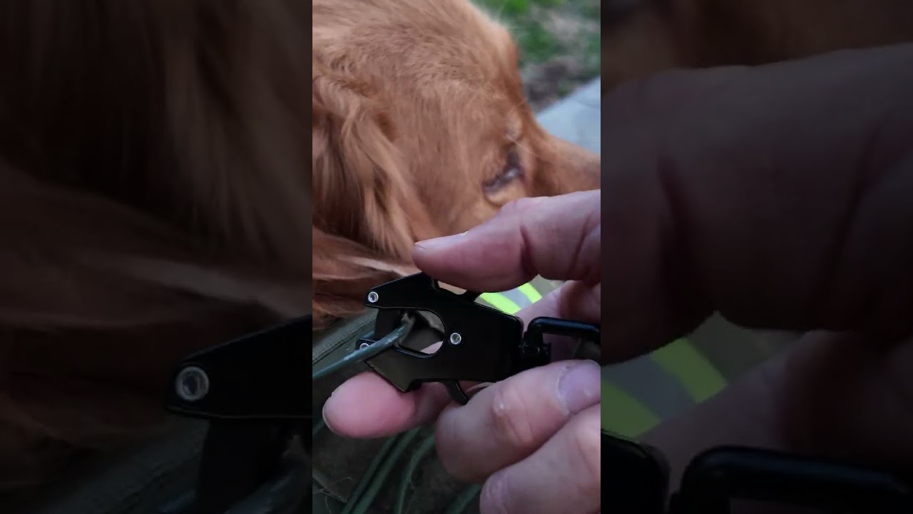 AIRUIDOG Heavy Duty Tactical Bungee Dog Leash