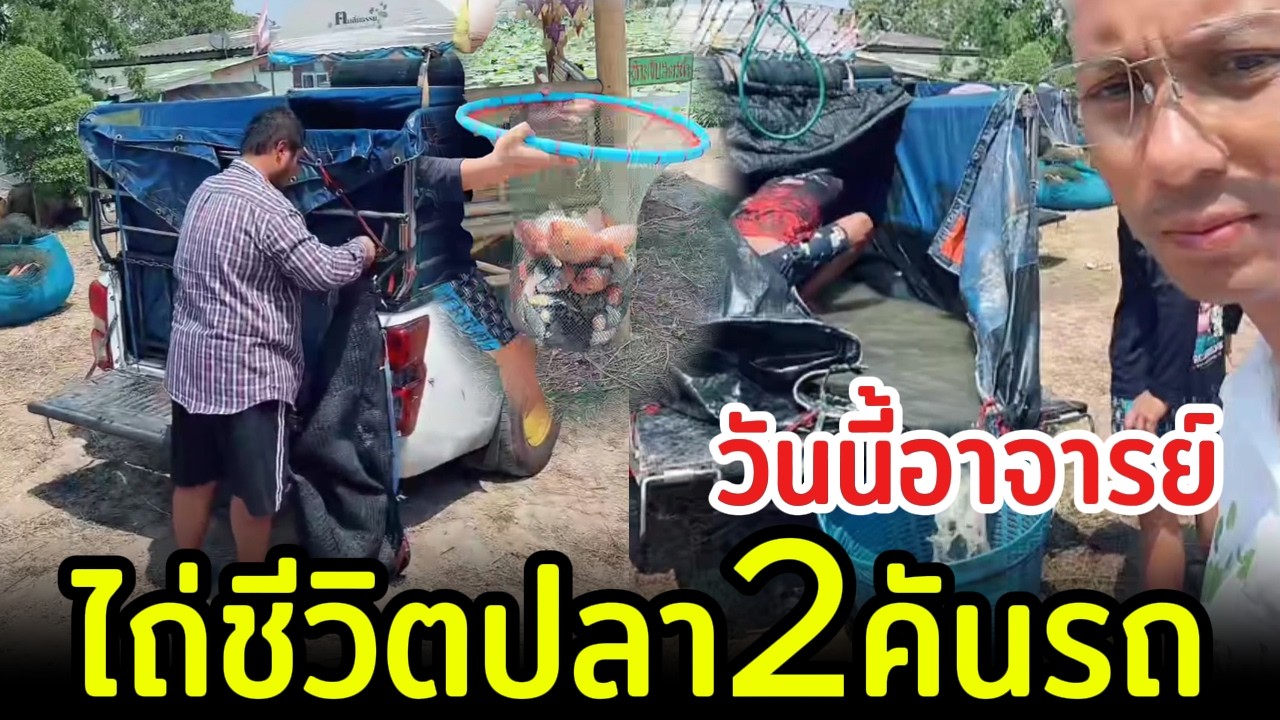 วันนี้อาจารย์ ไถ่ชีวิตปลา2คันรถ ปล่อยลงบ่อหลังบ้าน