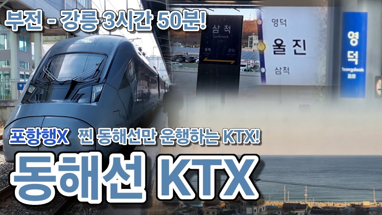 [포항행 동해선 KTX 아님] 찐 동해선만 운행하는 동해선 KTX 강릉행 탑승기