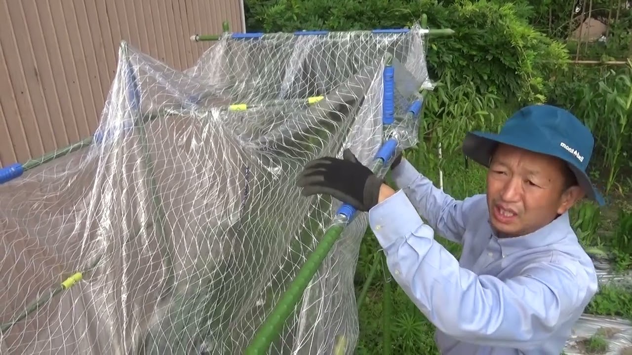 畑の水不足問題にアプローチ！手作り貯水タンクで夢の収穫ライフ