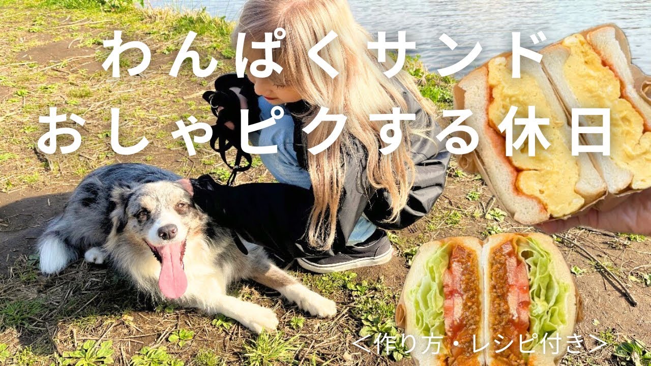 【簡単カフェ級サンドイッチ】同棲彼と🐶とピクニックする休日