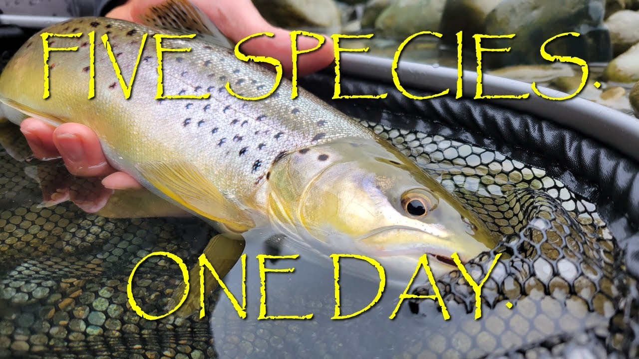 Drifting a Vancouver Island River for Multiple Species