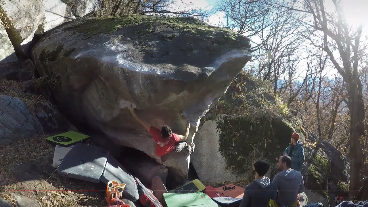 Cresciano - Jungle book - 8A