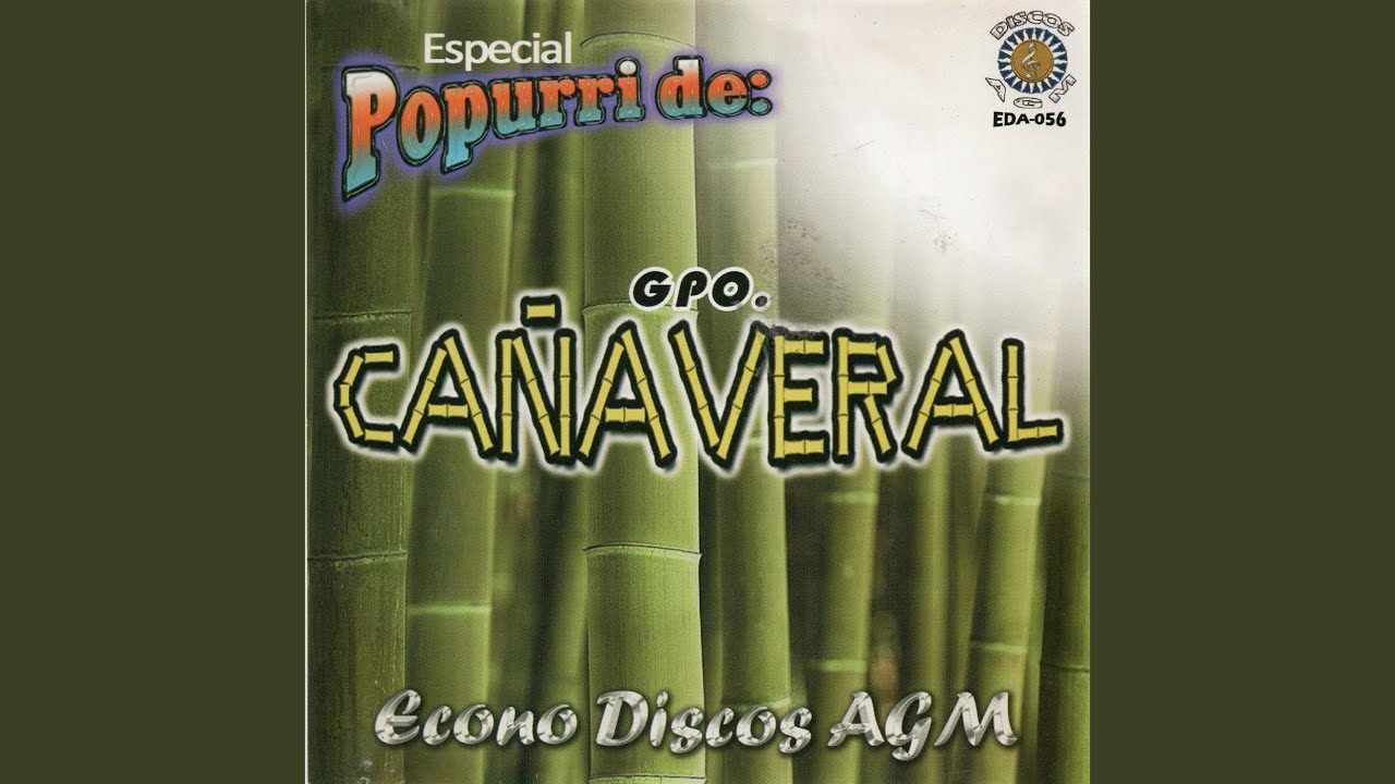 Popurri De Exitos