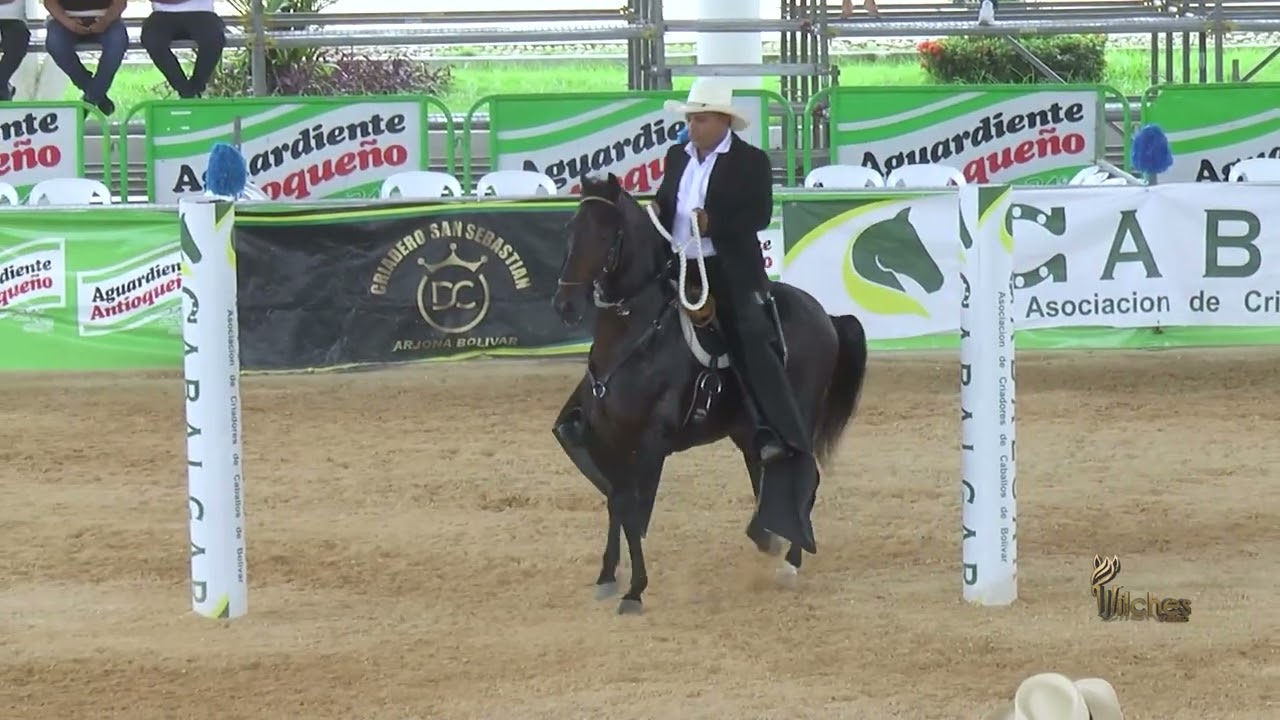 CANTO CELESTIAL DE LA ESTRELLA, SEGUNDO PUESTO CABALLOS DE 60 A 78 MESES P4 EXPO ARJONA GRADO B 2026