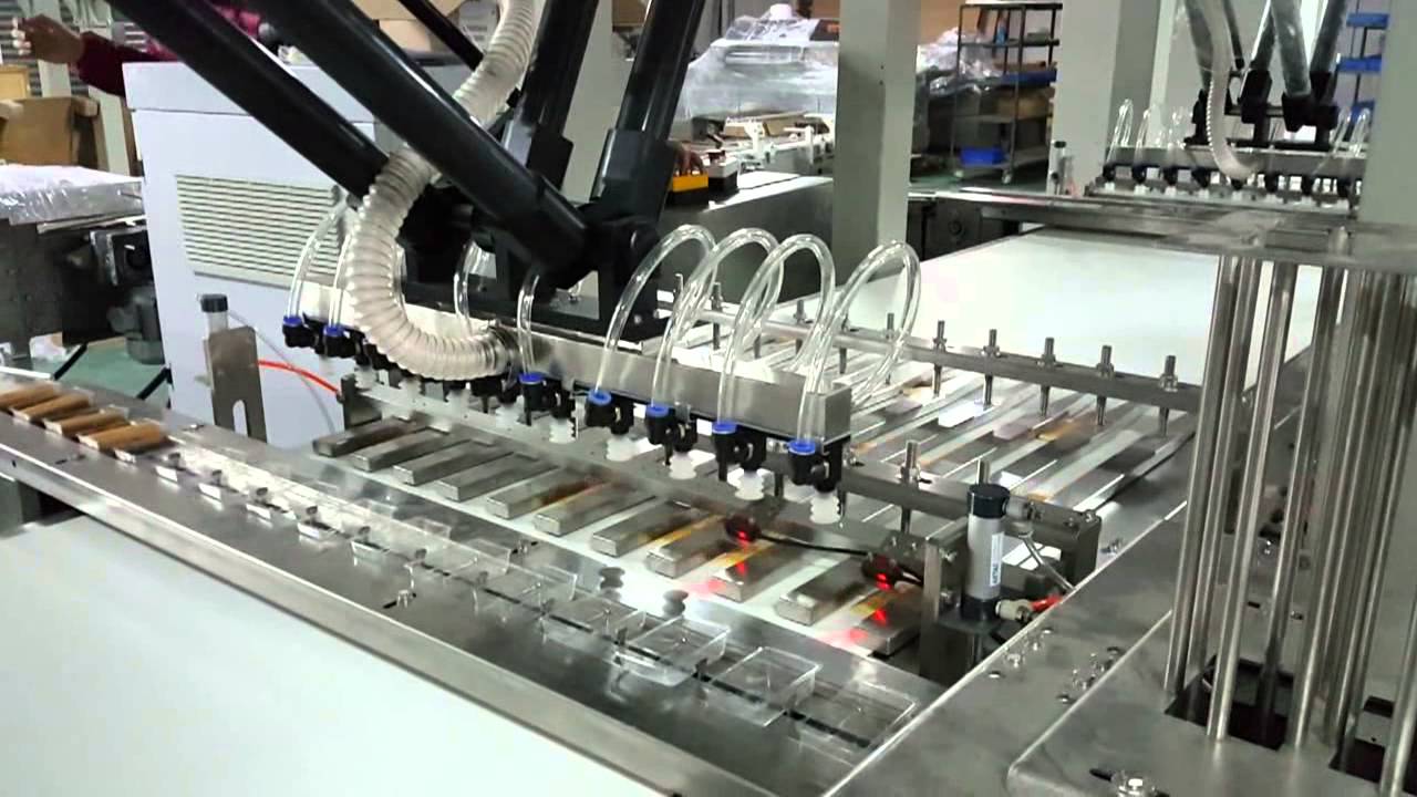 Kendy feeding and packing system