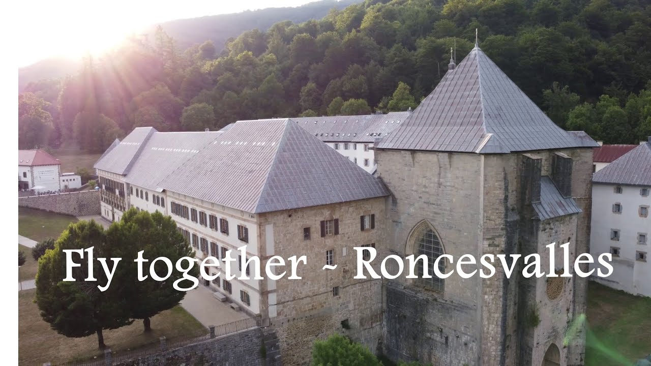 Fly together - Roncesvalles