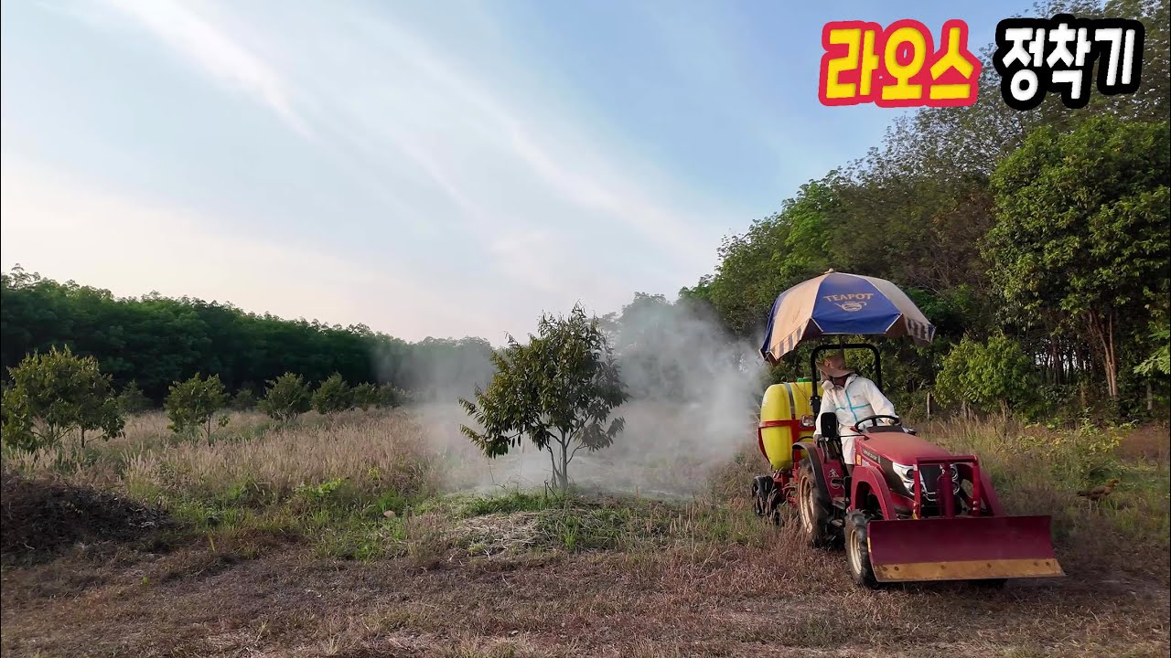 ep582 자닮유황 만들었어요