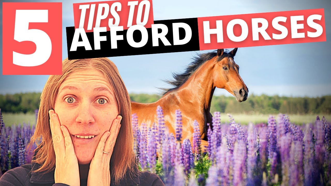 How to Afford Horses (5 Tips for Equestrians)