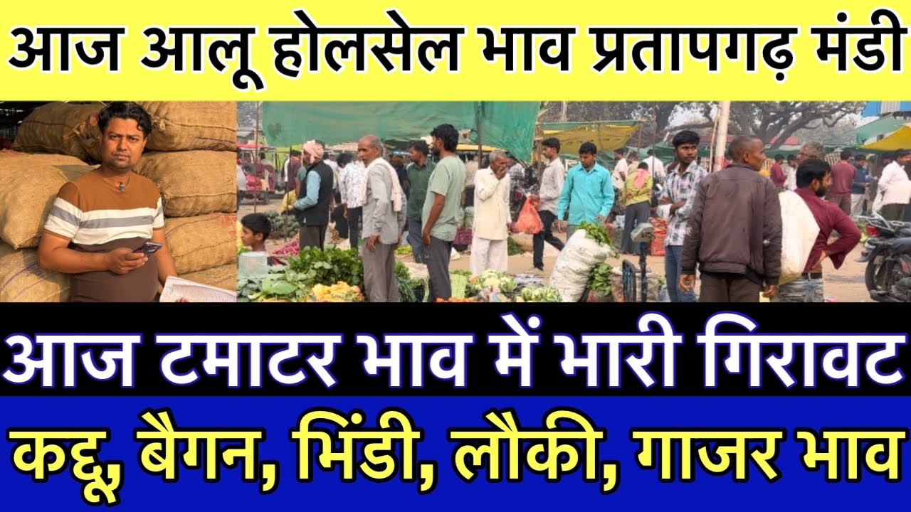 08/03/2026 आज आलू, टमाटर, कद्दू, भिंडी, करेला, मटर भाव प्रतापगढ़ मंडी | aalu mandi bhav today 