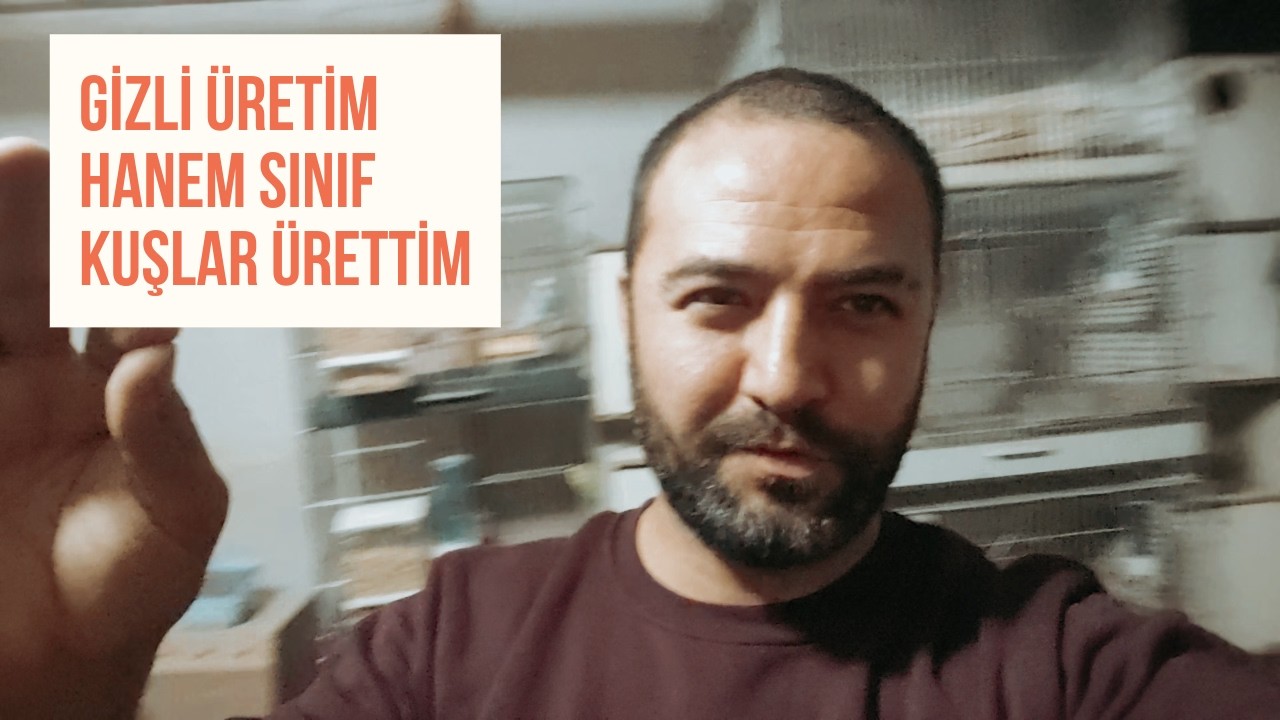 Kimseye göstermediğim ÜRETİM HANEMDE SINIF KANARYALAR! Güvercinleri uçurdum--ÜRETİM HANE ZİYARETİ