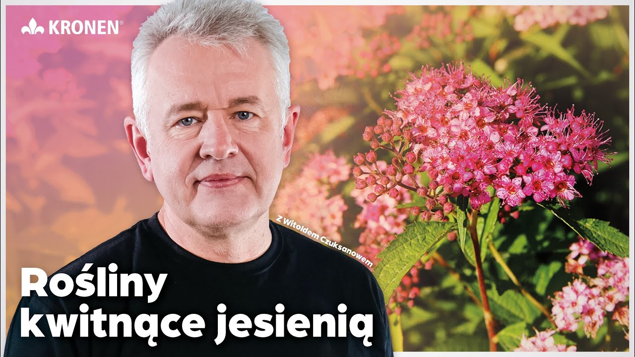 KRONEN 2025 - Rośliny kwitnące jesienią