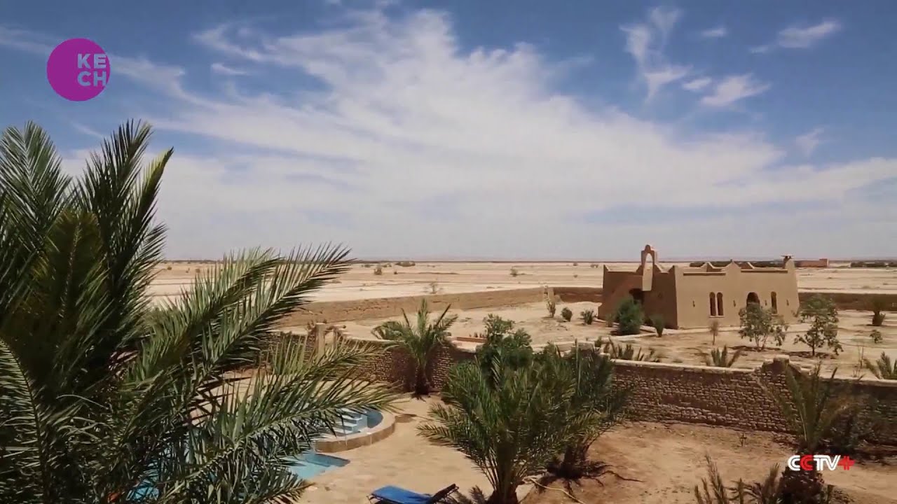 Chinese technology brings extra sweetness to Moroccan date farming