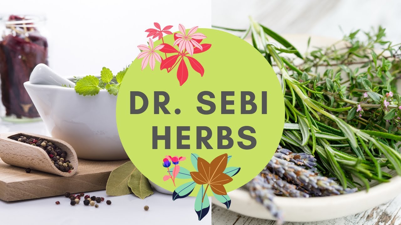 Dr Sebi Top 7 Medicinal HERBS | Drsebi Alkaline Medicinal Herbs 🌿