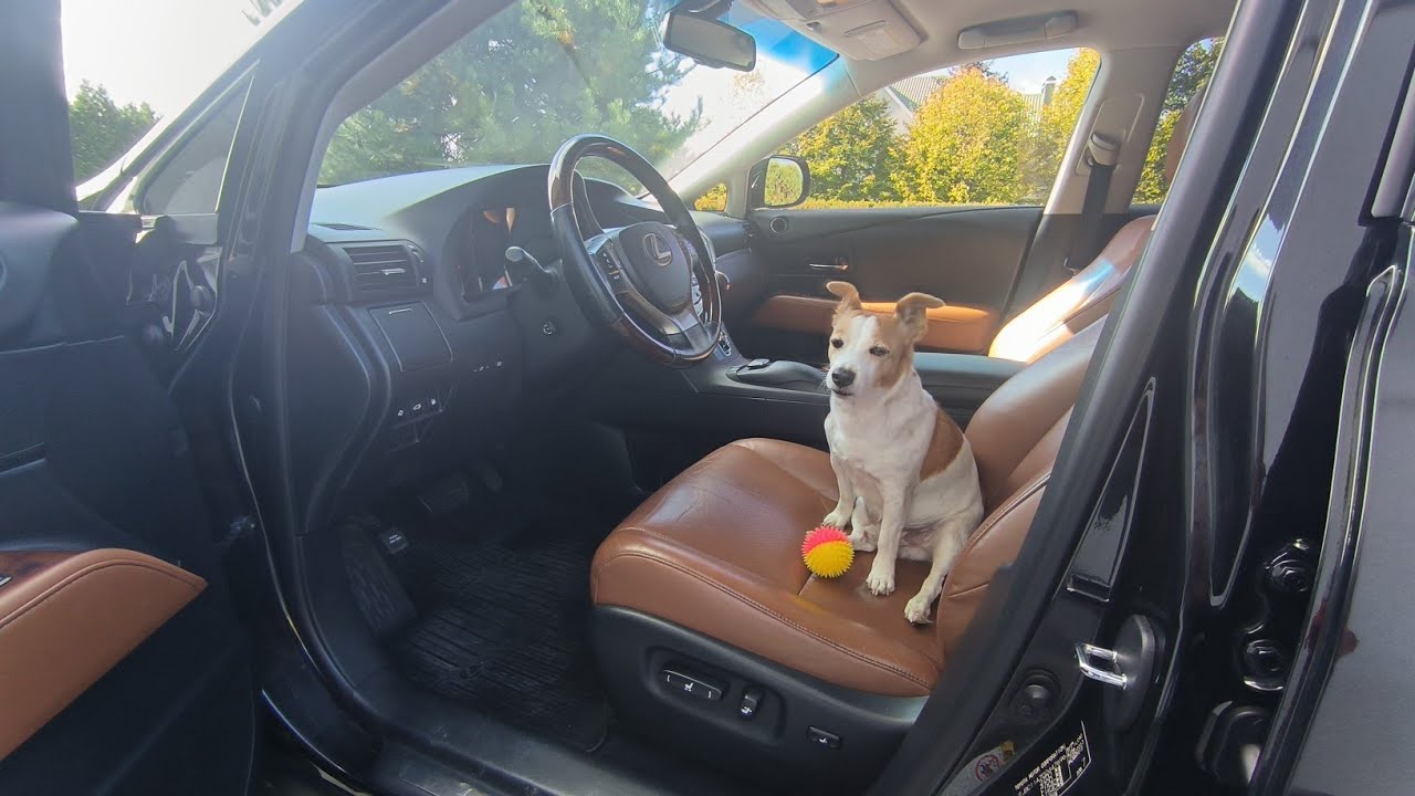ЯПОНСКОЕ 🇯🇵 НАДЕЖНОЕ... ГИБРИДНОЕ... Lexus Rx 450 2014