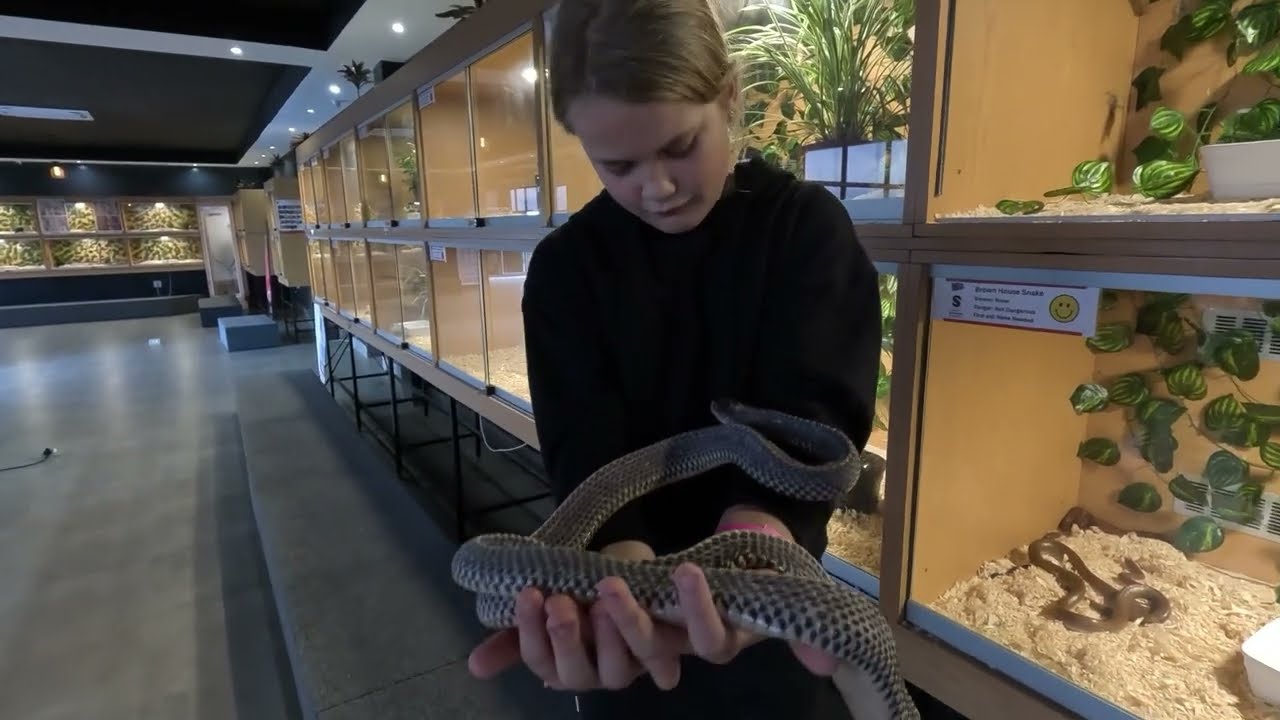 Eswatini Snake Park November 2024