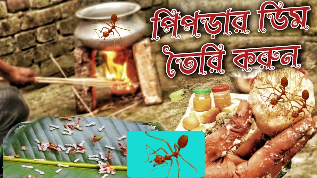 ডিম বানানো শিখুন | পিপড়ার ডিম || How To Make Ant Egg Alternative || mk fishing tips