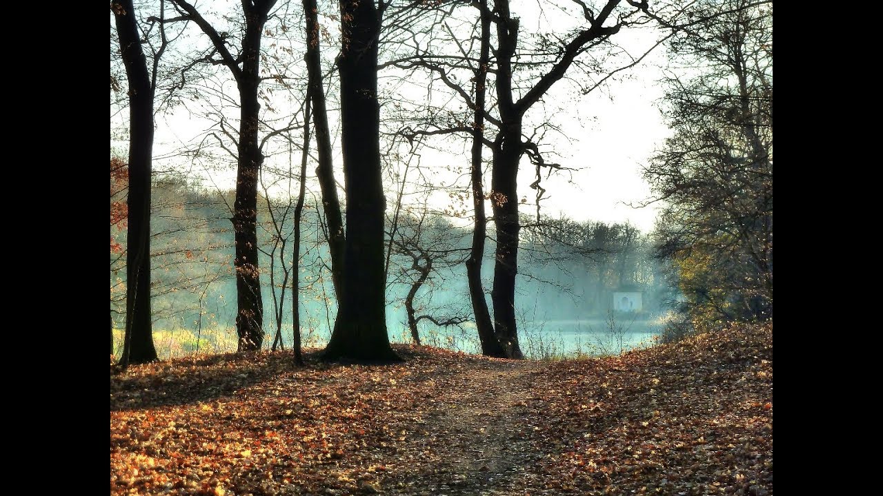 Dessau Impressionen Kornhaus Elbe Beckerbruch