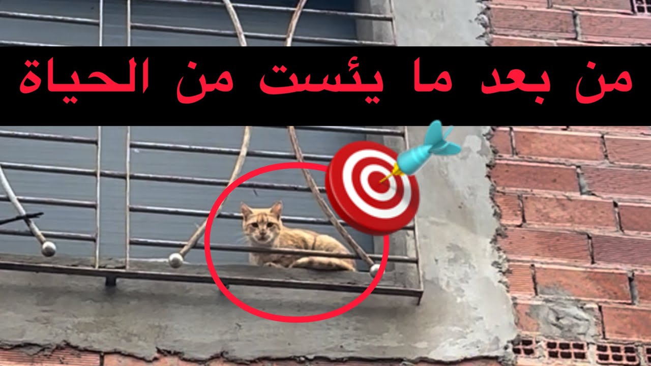 نتائج تلميذكم الذي قرأ على يدي لفقه أعور وأعرج وأصمك وقت المحنة والفيضان التي تعيشها مدينة قصر لكبير