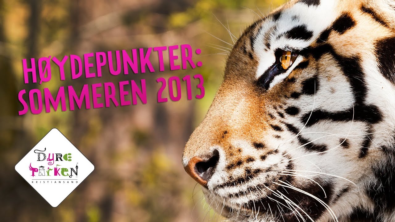 Sommerh&oslash;ydepunkter fra Dyreparken