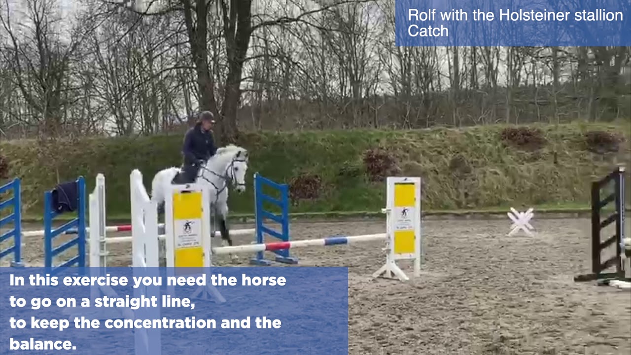 Exercise Bengtsson - World of Showjumping