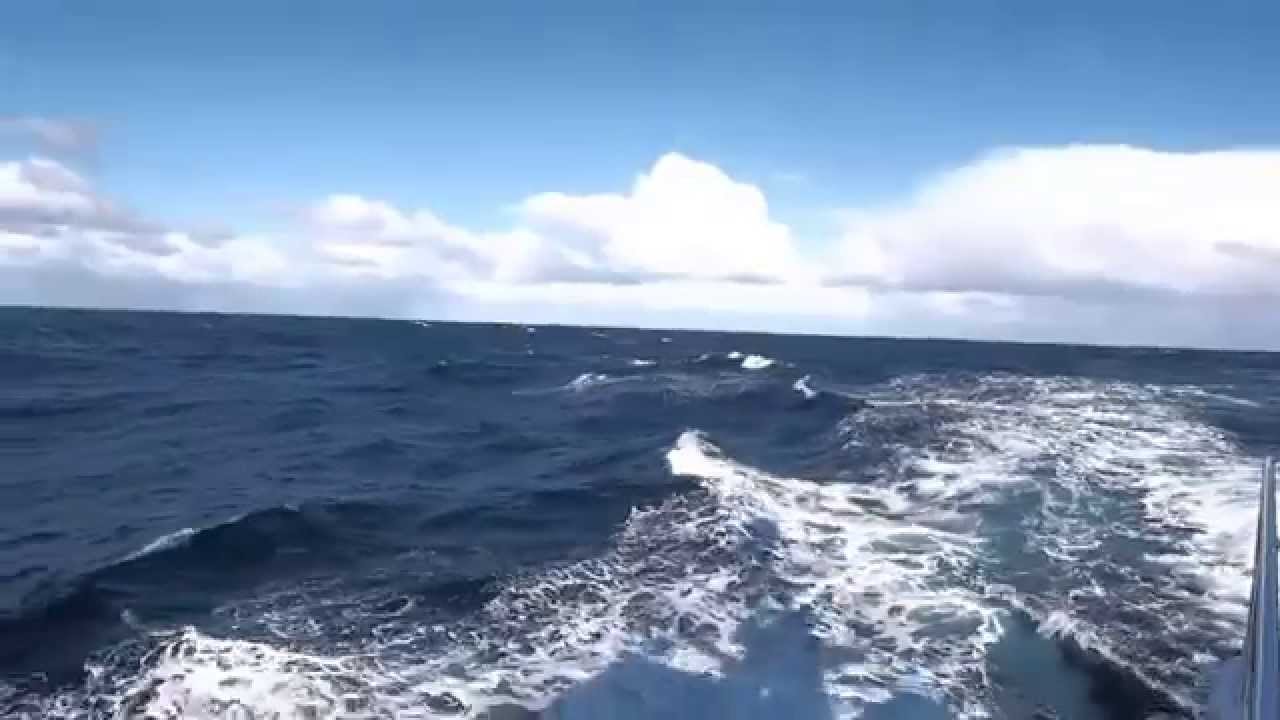 Argo Delivery- Nordhavn 68