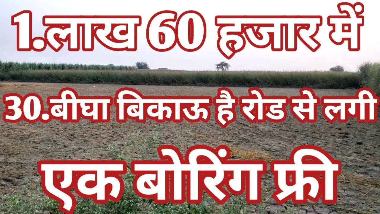 30//बीघा जमीन रोड से लगी बिकाऊ है मीठा पानी पक्की बोरिंग फ्री agriculture land for sale