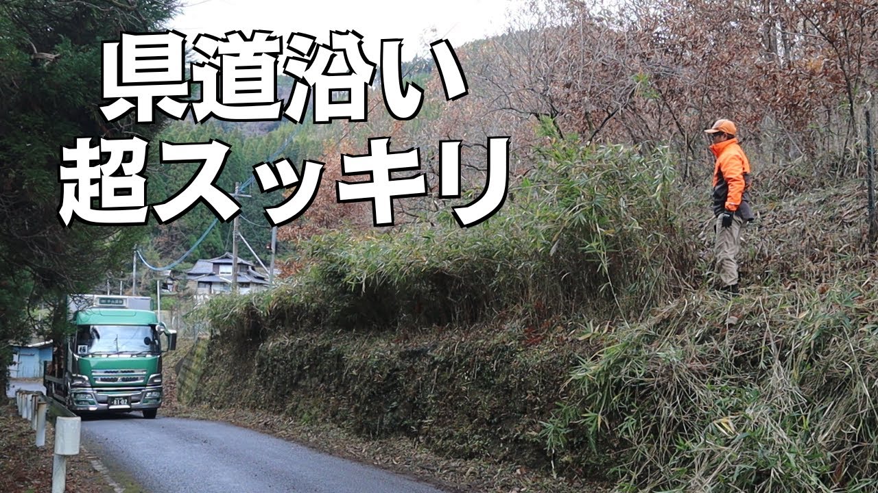 県道沿いのフェンス際の笹を鎌で刈る！