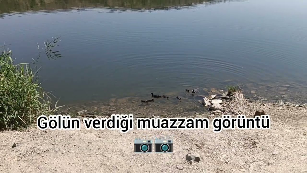 Eymir Gölü Gezisi 24.06.2025 Ankara Eymir Lake trip