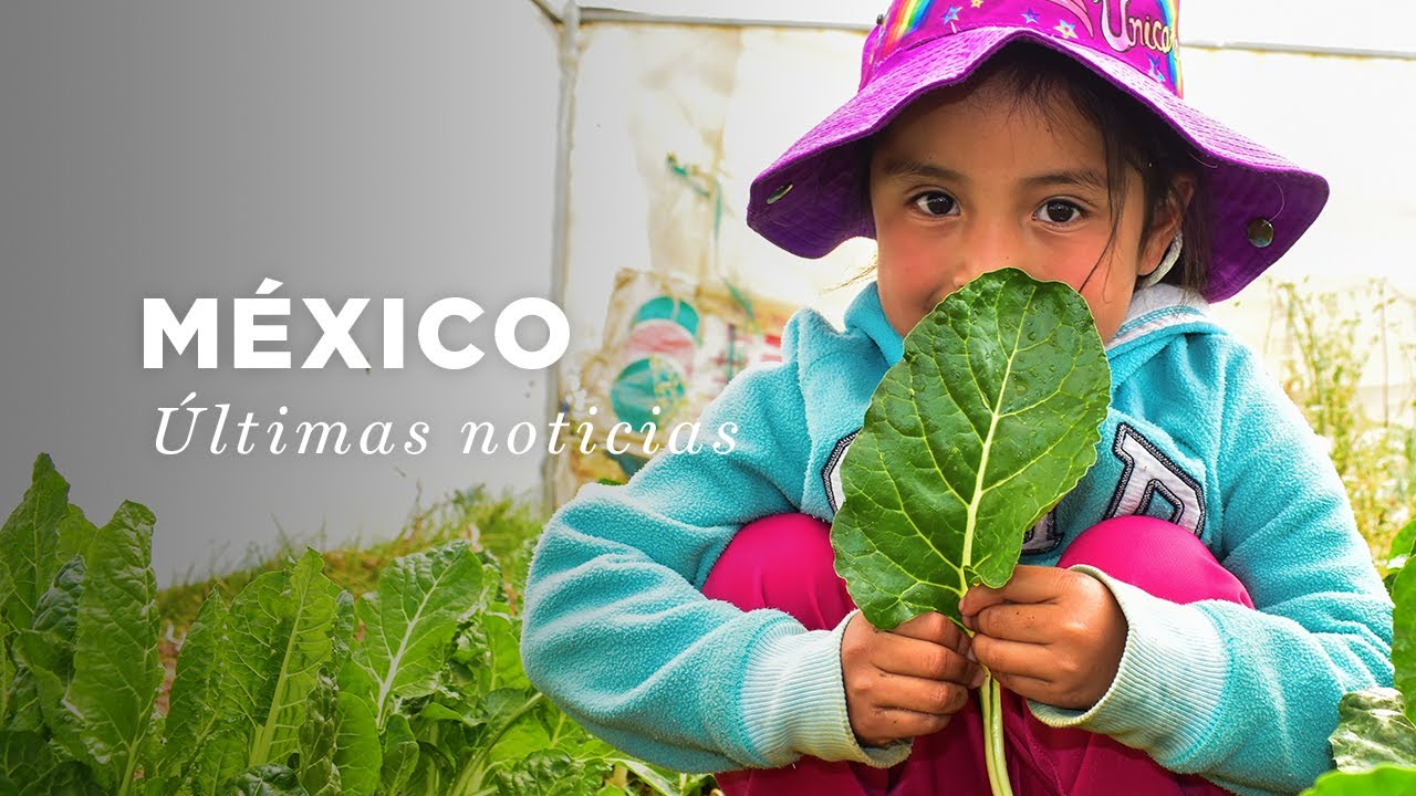 México: últimas noticias | Compassion España