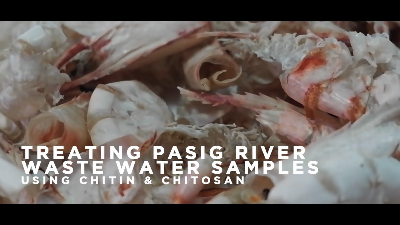 Chitin & Chitosan in Waste Water Treatment Research