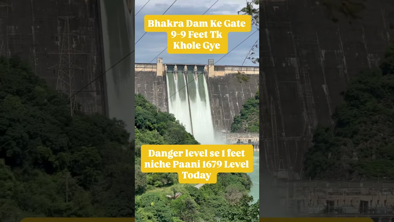 Bhakra Dam ⚠️ 🚨 🚨 🚨 #bhakradam #highalert #bhakra
