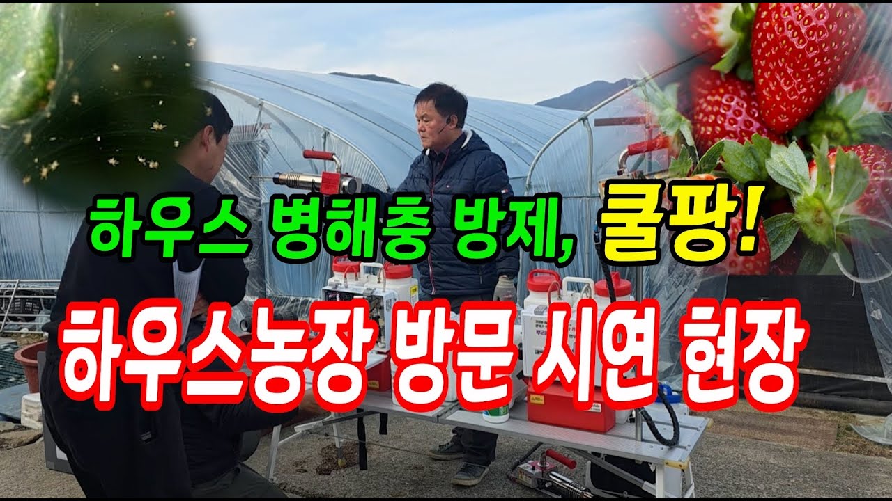 하우스 병해충 방제기 쿨팡 냉무연막기 전국 하우스 방문시연 현장  #하우스농장 #병해충 #연막기 #연무기